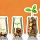 Savings growing